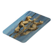 Camargue Horses and Reflection, Southern France マグネット (左側)