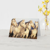 Camargue Horses (Eguus caballus カード (黄色い花)