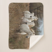 Camargue Horses Running シェルパブランケット (正面)