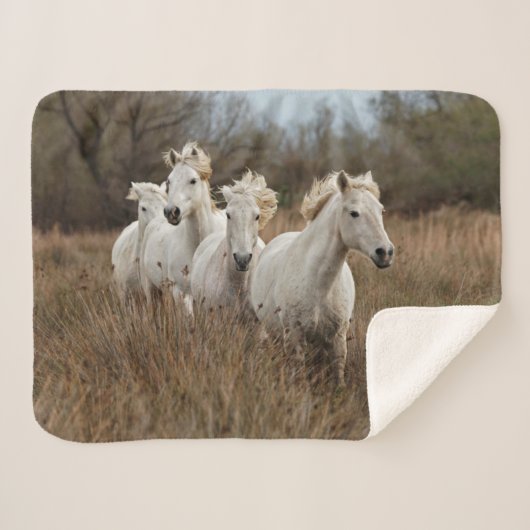 Camargue Horses Running シェルパブランケット (正面(横))