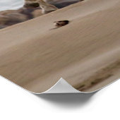 Camargue Horses Running on the Beach ポスター (角)