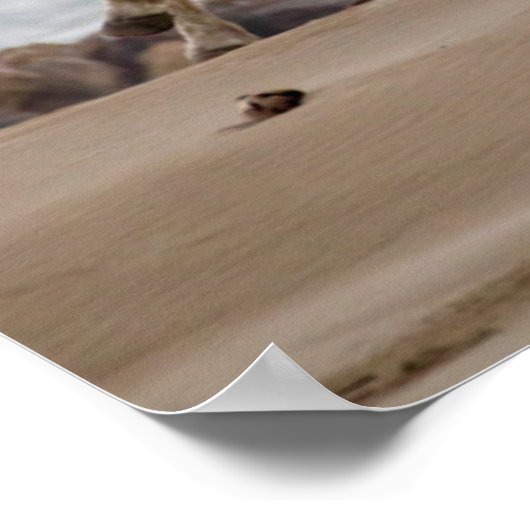 Camargue Horses Running on the Beach ポスター (角)