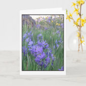 Camasの花 カード (黄色い花)