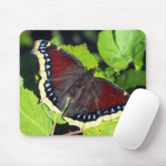 Camberwellの美しいまたは嘆くマント蝶 マウスパッド (マウス)