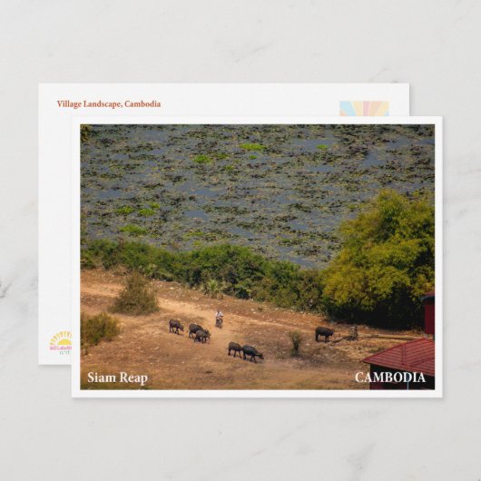 Cambodian Village Landscape Postcard シーズンポストカード (正面/裏面)