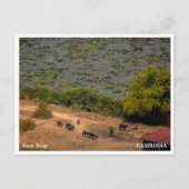 Cambodian Village Landscape Postcard シーズンポストカード (正面)