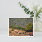 Cambodian Village Landscape Postcard シーズンポストカード (スタンド正面)