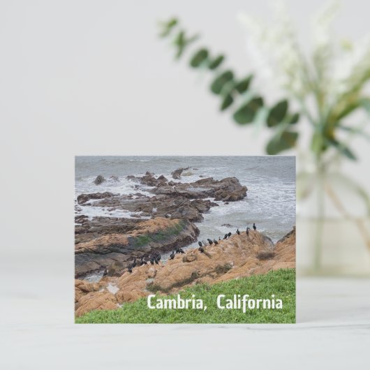 Cambria California ポストカード (スタンド正面)