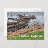 Cambria California ポストカード (正面/裏面)