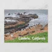 Cambria California ポストカード (正面)