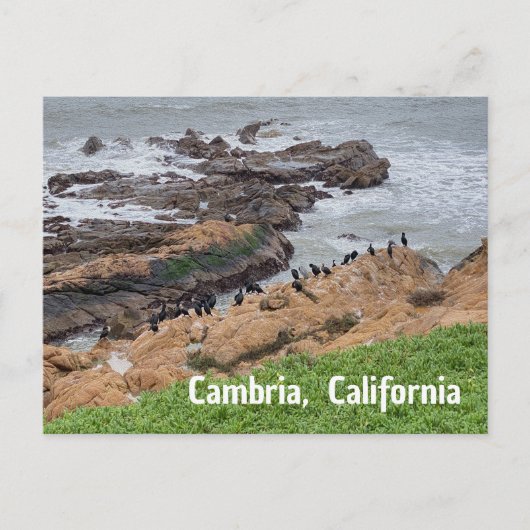 Cambria California ポストカード (正面)