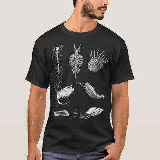 Cambrian Creatures Fossil Paleoart Evolution Scien Tシャツ