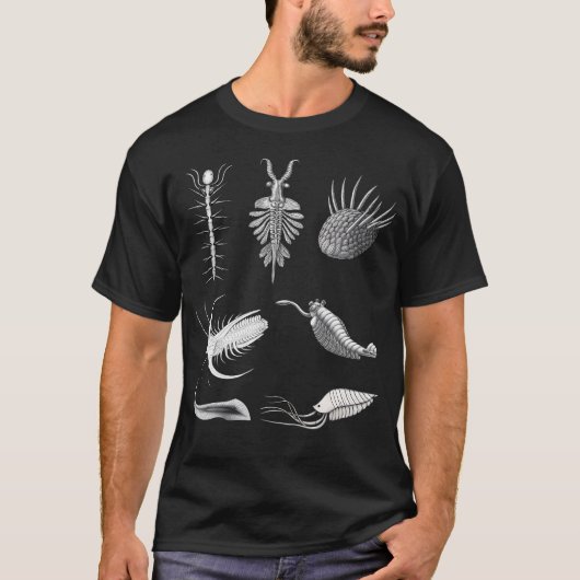 Cambrian Creatures Fossil Paleoart Evolution Scien Tシャツ (正面)