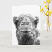 Camelキスおもしろいクローズアップフォトグリーティングカード カード (黄色い花)