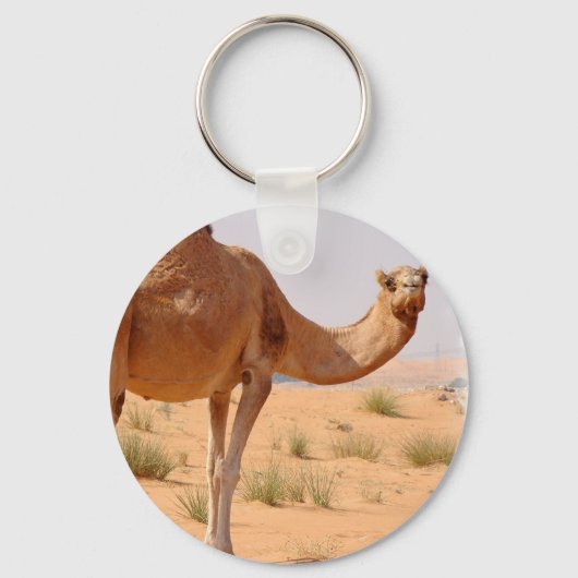 Camel for Arabs Keychain キーホルダー (正面)