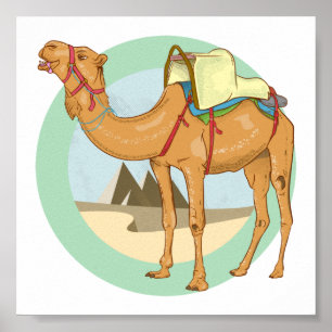 Camel Giza Pyramids ポスター