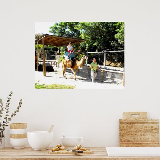 Camel ride ポスター (キッチン)