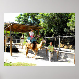 Camel ride ポスター