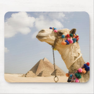Camel with Pyramids Giza,エジプト マウスパッド