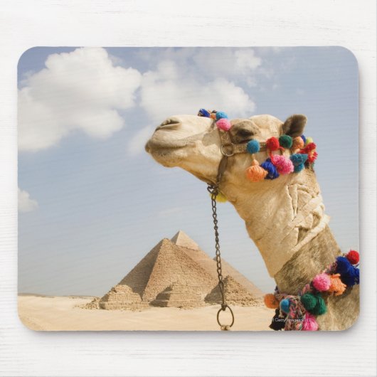Camel with Pyramids Giza,エジプト マウスパッド (正面)