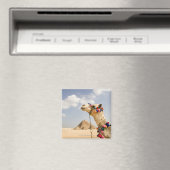 Camel with Pyramids Giza,エジプト マグネット (インサイチュ (食洗機))