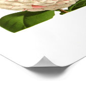 Camellia japonica ポスター (角)