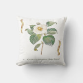 Camellia japonica 'Alba Plena'  クッション (正面)