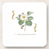 Camellia japonica 'Alba Plena'  コースター (正面)
