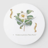 Camellia japonica 'Alba Plena'  ラージ壁時計 (正面)