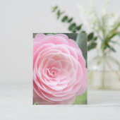 Camellia japonica f. otome ポストカード (スタンド正面)