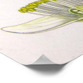 Camellia Sinensis Thea Sinensis Tea Treeポスター ポスター (角)