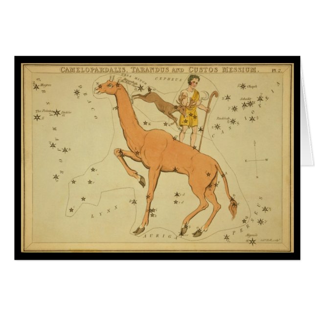 Camelopardalis、Tarandus、およびCustus Messium (正面横)