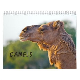 CAMELSウォールカレンダー カレンダー