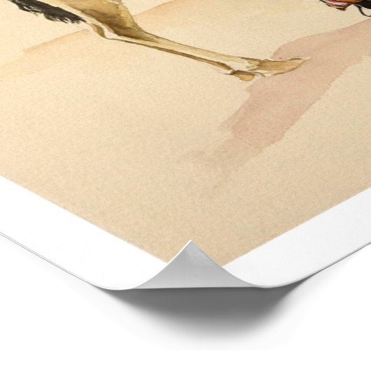 Camels from Petra 2007 ポスター (角)