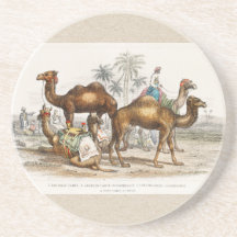 Camels of India Vintage Illustration, 1820