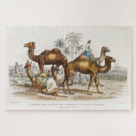 Camels of India Vintage Illustration, 1820 ジグソーパズル
