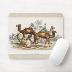 Camels of India Vintage Illustration, 1820 マウスパッド