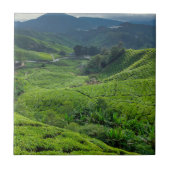 Cameron Highlands Tea Plantation タイル (正面)