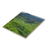 Cameron Highlands Tea Plantation タイル (側面)