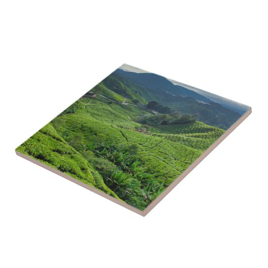 Cameron Highlands Tea Plantation タイル (側面)