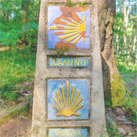 Camino de Santiago シール (正面)