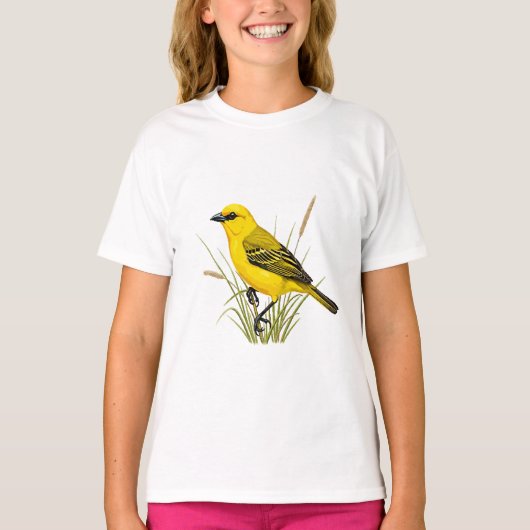 camiseta tシャツ (正面)