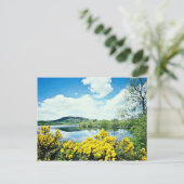 Camlough Lough, County Down,アイルランドの花 ポストカード (スタンド正面)