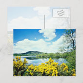 Camlough Lough, County Down,アイルランドの花 ポストカード (正面/裏面)