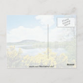 Camlough Lough, County Down,アイルランドの花 ポストカード (裏面)