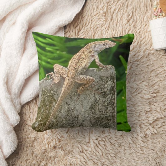 Camouflage Master クッション (ブランケット)