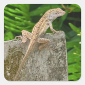 Camouflage Master スクエアシール (正面)