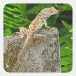 Camouflage Master スクエアシール