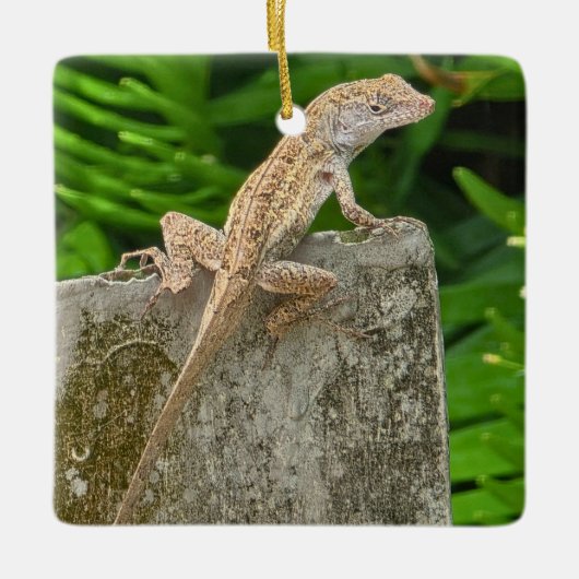 Camouflage Master セラミックオーナメント (正面)