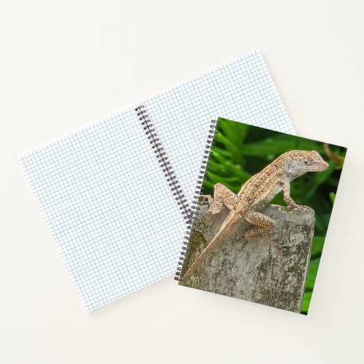 Camouflage Master ノートブック (内部)